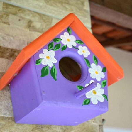 Sitio Terra Sana Bed & Breakfast Santa Teresa  Exterior photo