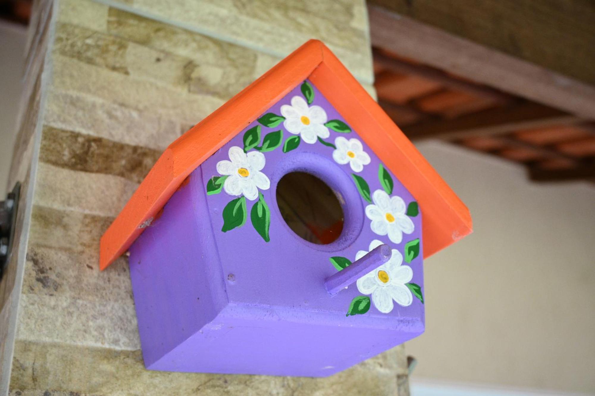 Sitio Terra Sana Bed & Breakfast Santa Teresa  Exterior photo